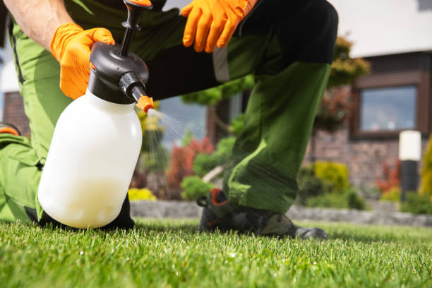Best Pest Control for Businesses  in Clio, MI