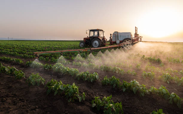 Best Pest Prevention Services  in Clio, MI