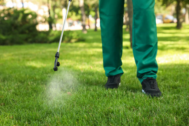 Best Mosquito Control Services  in Clio, MI