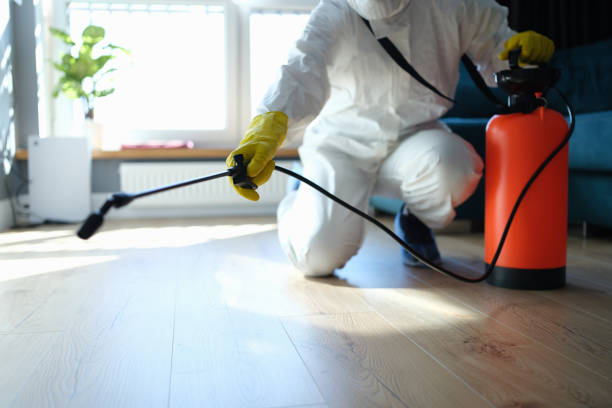Best Pest Control Treatment  in Clio, MI