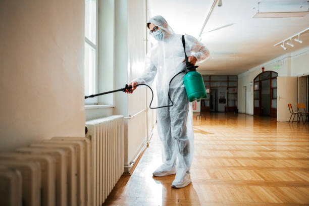 Flea Control Services in Clio, MI