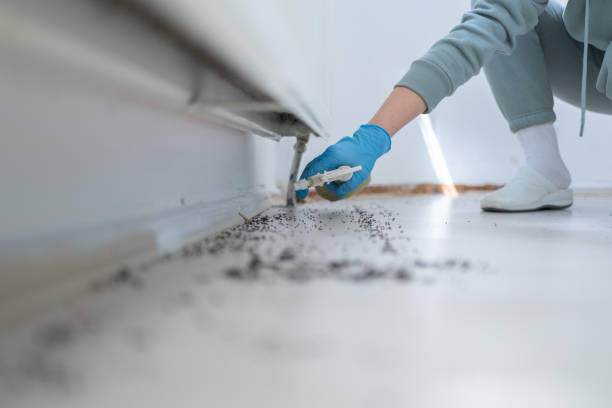 Best Cockroach Control Services  in Clio, MI